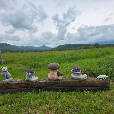 Wataha Pod Basztami - Alfa - Domki Caloroczne Radkow Exterior foto